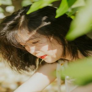 罗黛娥