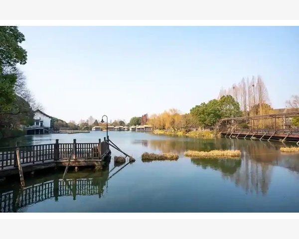 大专会计主修课程全貌与学习要点