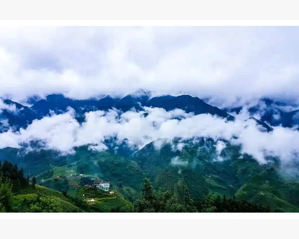 止咳糖浆：解除喉咙不适，畅通呼吸道的良方