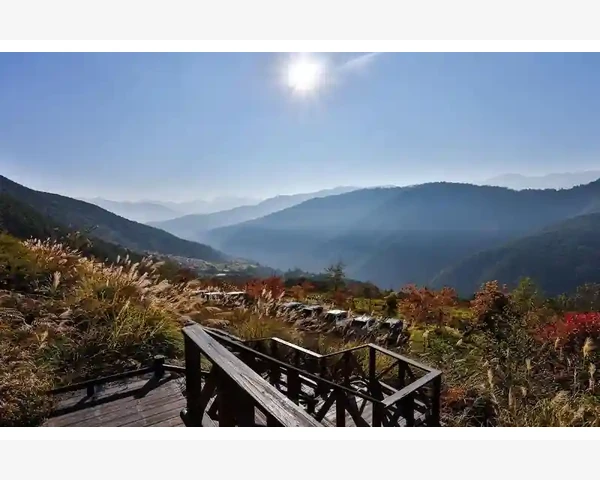 酒能驱寒：中医科普解读